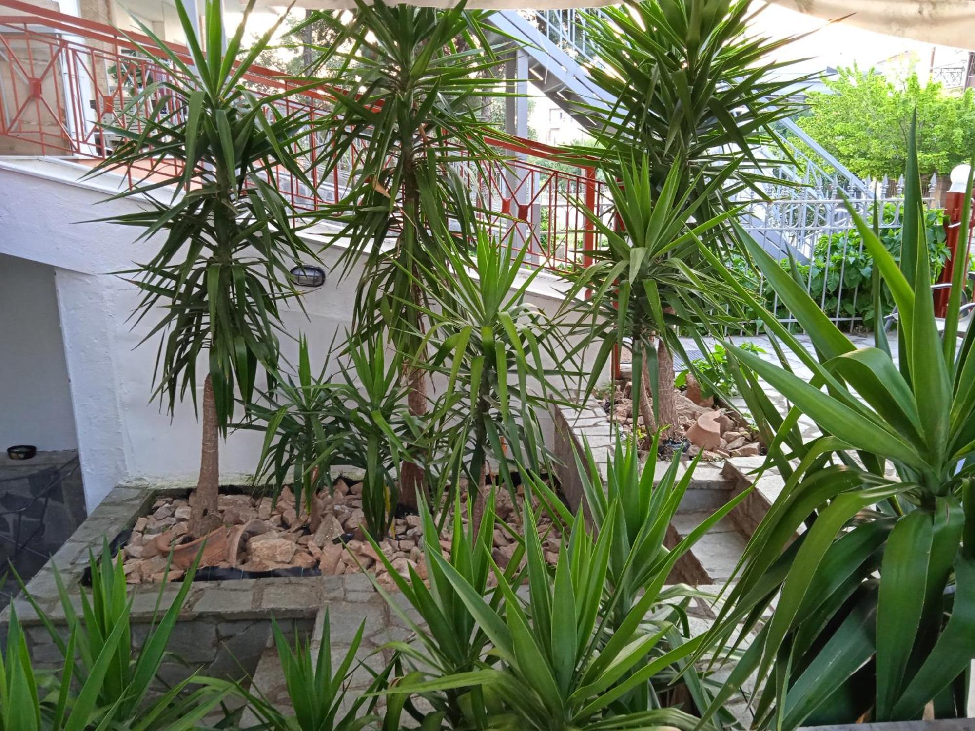Blue Moon Apartments Nea Michaniona Rom bilde